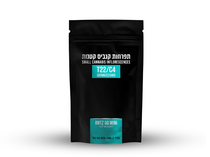 קנאביס רפואי תפרחת ראנטס אוג'י מיני - T22/C4 - Runtz OG Mini גרין האוס יום - סאטיבה