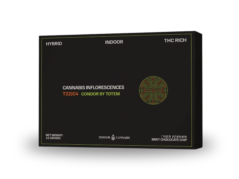 קנאביס רפואי תפרחת קונדור - T22/C4 - Condor קנדוק יום\לילה - היברידי