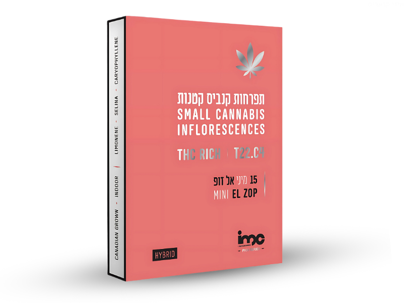 קנאביס רפואי תפרחת אל זופ 15# מיני - T22/C4 - El zop #15 Mini איי.אמ.סי יום\לילה - היברידי