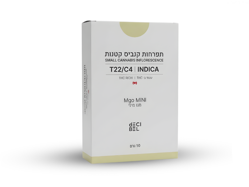 קנאביס רפואי תפרחת מגו מיני - T22/C4 - MGO Mini רפאנא לילה - אינדיקה