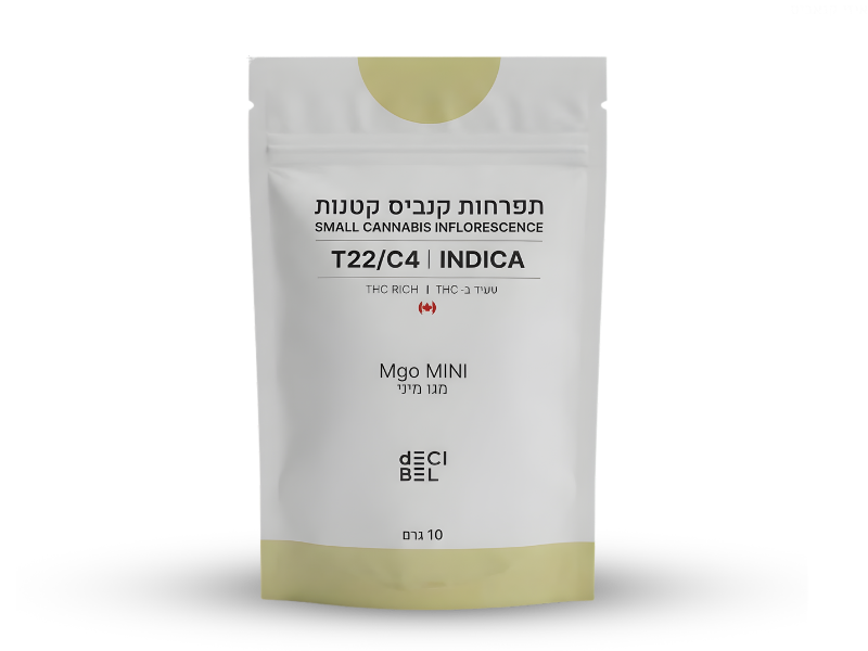 קנאביס רפואי תפרחת מגו מיני - T22/C4 - MGO Mini רפאנא לילה - אינדיקה