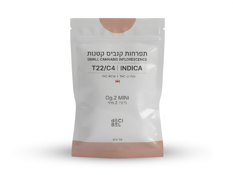 קנאביס רפואי תפרחת ג'י ג'י.2 מיני - T22/C4 - Gg.2 Mini רפאנא לילה - אינדיקה