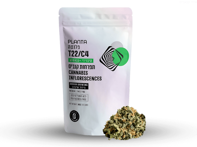 קנאביס רפואי תפרחת פלנטה - T22/C4 - Planta טריכום יום\לילה - היברידי