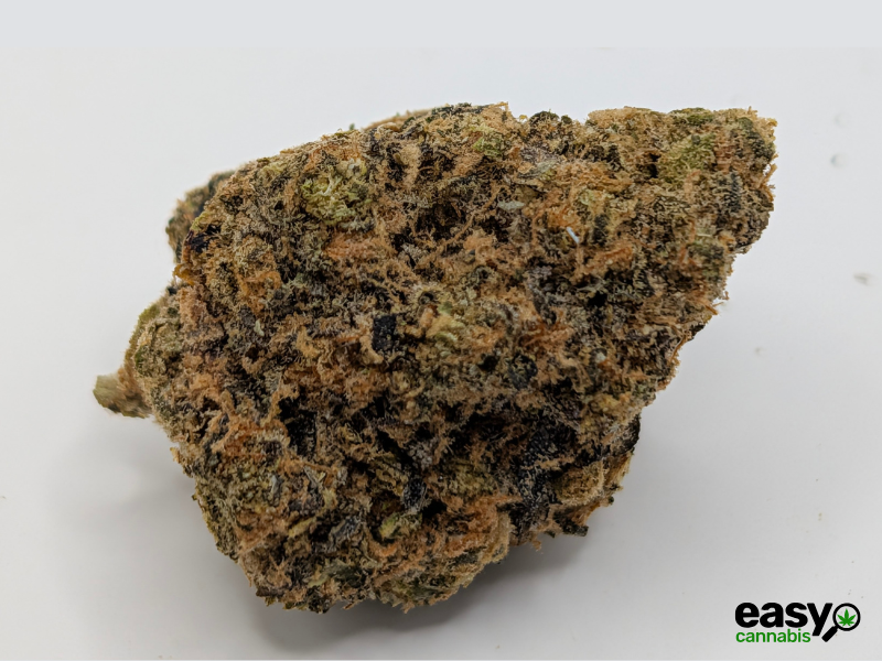 קנאביס רפואי תפרחת האמי ג'לטו - T22/C4 - Hemi Glto איי.אמ.סי לילה - אינדיקה