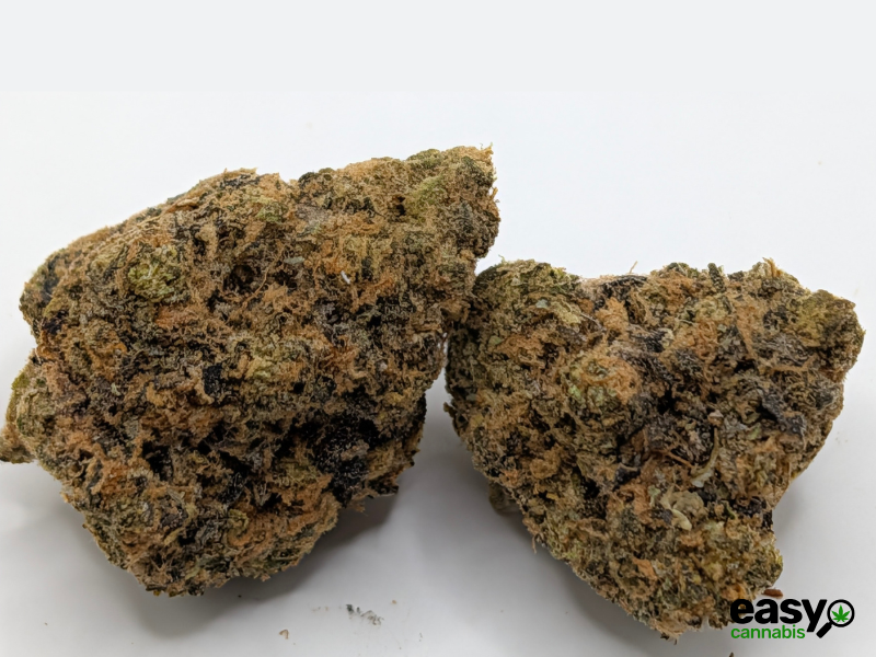 קנאביס רפואי תפרחת האמי ג'לטו - T22/C4 - Hemi Glto איי.אמ.סי לילה - אינדיקה