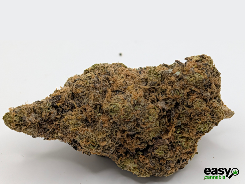 קנאביס רפואי תפרחת האמי ג'לטו - T22/C4 - Hemi Glto איי.אמ.סי לילה - אינדיקה