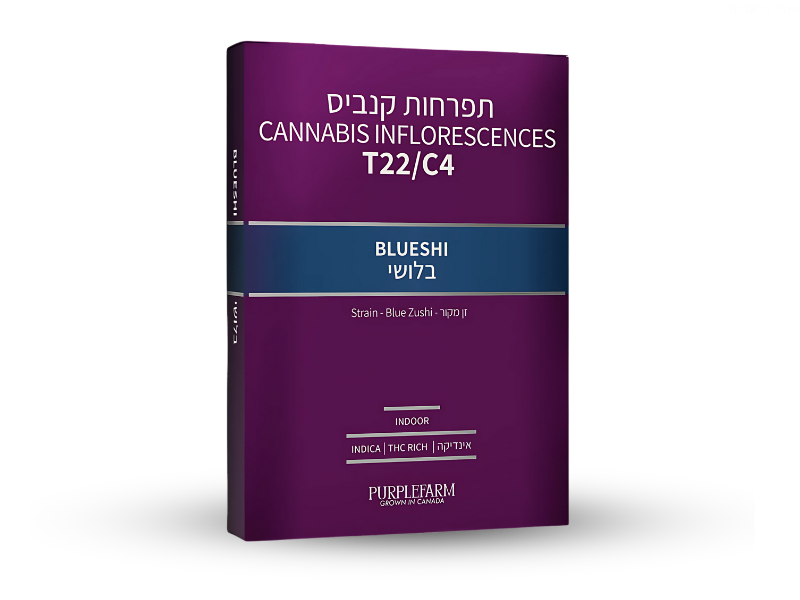 קנאביס רפואי תפרחת בלושי - T22/C4 - Blueshi קנדוק לילה - אינדיקה