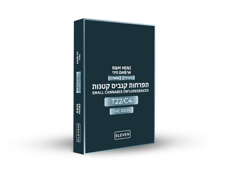 קנאביס רפואי תפרחת אר&אם מיני - T22/C4 - R&M Mini גרינמד יום\לילה - היברידי