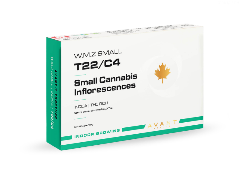 קנאביס רפואי תפרחת דאבליו.אם.זי סמול - T22/C4 - W.M.Z Small טוגדר פארמה לילה - אינדיקה