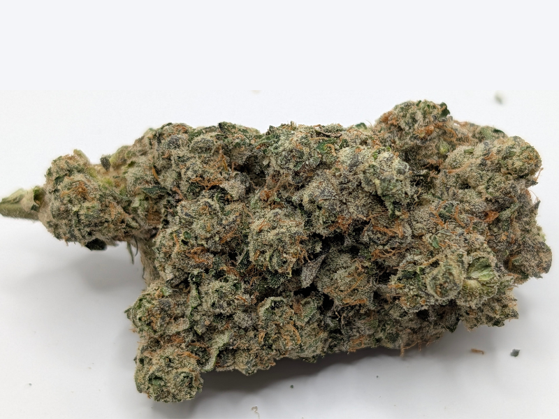 קנאביס רפואי תפרחת איי פי - T22/C4 - AP פלאנטק מדיקל לילה - אינדיקה