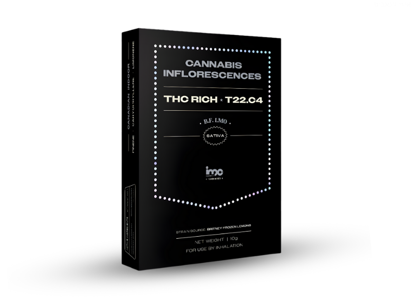 קנאביס רפואי תפרחת בי.אף למו - T22/C4 - B.F Lmo איי.אמ.סי יום - סאטיבה