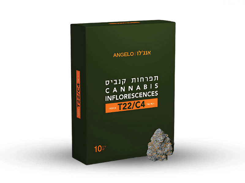 קנאביס רפואי תפרחת אנג'לו - T22/C4 - Angelo גרין פילדס לילה - אינדיקה