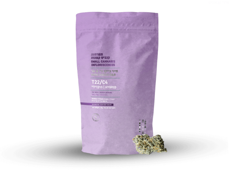 קנאביס רפואי תפרחת צ'יקו ג'י&אר מיני - T22/C4 - Chico G&R Mini ויטה ורדה יום\לילה - היברידי