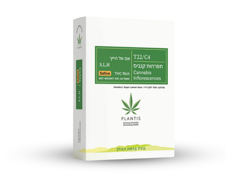 קנאביס רפואי תפרחת אס.אל.אייץ' - T22/C4 - S.L.H פלאנטיס יום - סאטיבה