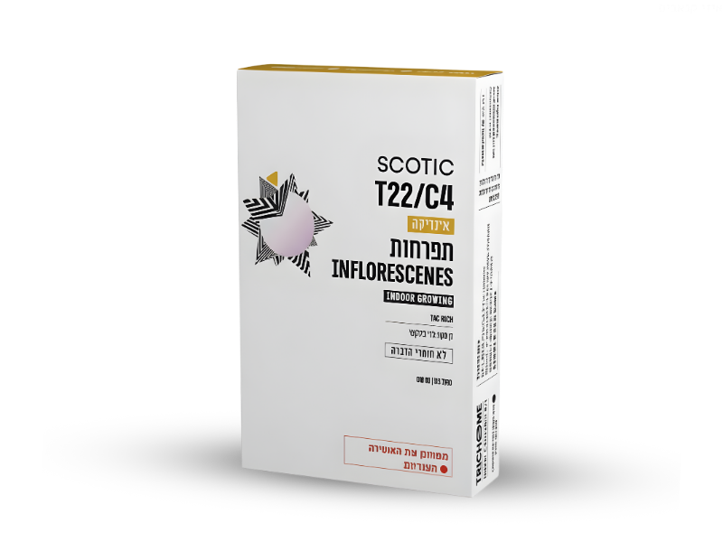 קנאביס רפואי תפרחת סקוטיק מיני - T22/C4 - Scotic Mini טריכום לילה - אינדיקה