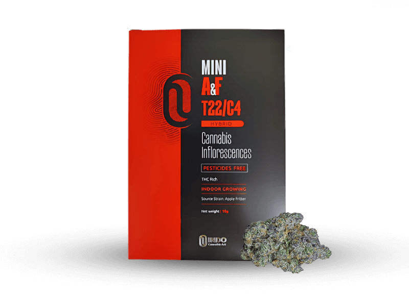 קנאביס רפואי תפרחת איי&אף מיני - T22/C4 - A&F Mini טריכום יום\לילה - היברידי