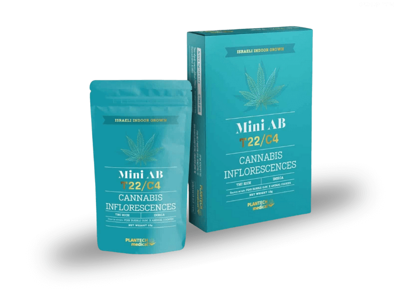 קנאביס רפואי תפרחת איי בי - T22/C4 - AB פלאנטק מדיקל לילה - אינדיקה