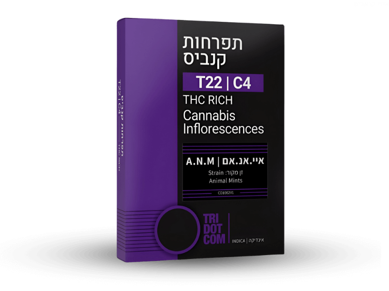 קנאביס רפואי תפרחת איי.אנ.אם - T22/C4 - AA.N.M קנדוק לילה - אינדיקה