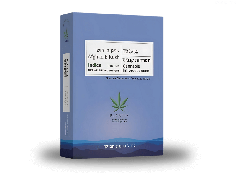 קנאביס רפואי תפרחת אפגן בי קוש  - T22/C4 - Afghan B Kush פלאנטיס לילה - אינדיקה