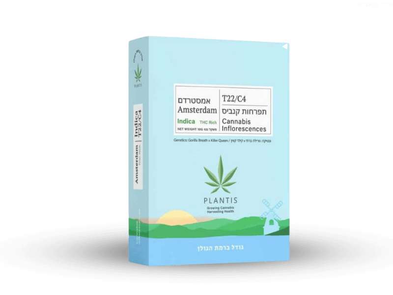 קנאביס רפואי תפרחת אמסטרדם  - T22/C4 - Amsterdam פלאנטיס לילה - אינדיקה