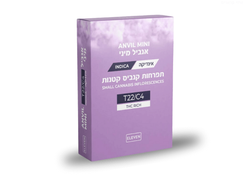 קנאביס רפואי תפרחת אנביל מיני - T22/C4 - Anvil Mini גרינמד לילה - אינדיקה