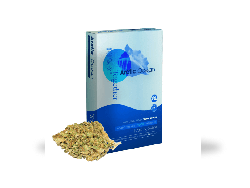 קנאביס רפואי תפרחת אוקיינוס ארקטי - T10/C10 - Arctic Ocean טוגדר פארמה יום\לילה - היברידי