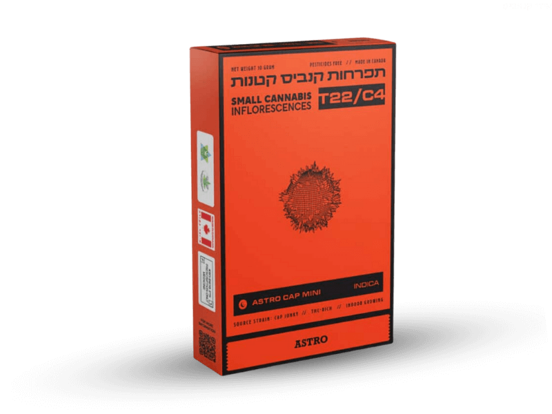 קנאביס רפואי תפרחת אסטרו קאפ מיני - T22/C4 - Astro Cap Mini טוגדר פארמה לילה - אינדיקה