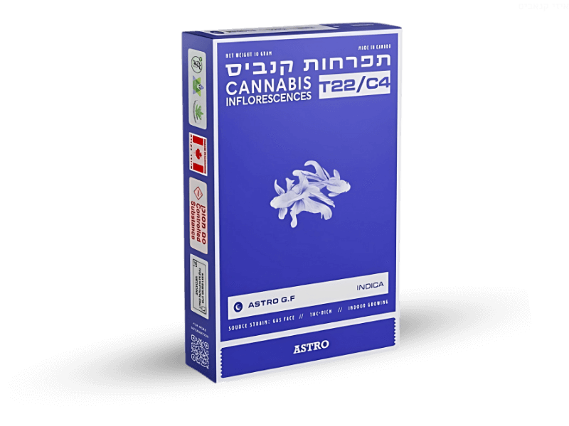קנאביס רפואי תפרחת אסטרו ג'י אף - T22/C4 - Astro G.F טוגדר פארמה לילה - אינדיקה
