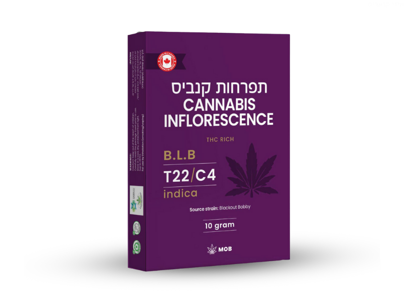 קנאביס רפואי תפרחת בי אל בי - T22/C4 - B.L.B מאסטרס אוף באדס לילה - אינדיקה