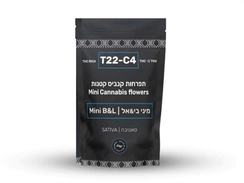 קנאביס רפואי תפרחת בי&אל מיני - T22/C4 - B&L Mini דוד וגוליית יום - סאטיבה