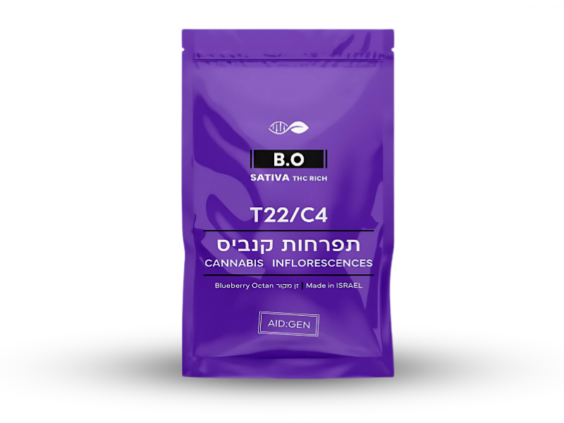 קנאביס רפואי תפרחת בי.או - T22/C4 - B.O איי איי די קאן יום - סאטיבה