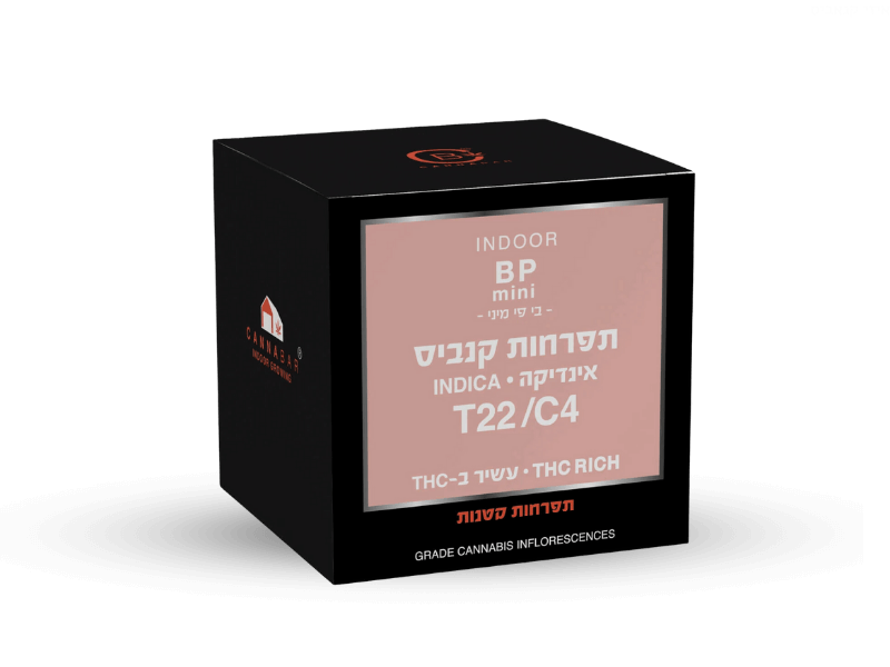 קנאביס רפואי תפרחת בי.פי מיני - T22/C4 - B.P Mini קנאבר לילה - אינדיקה