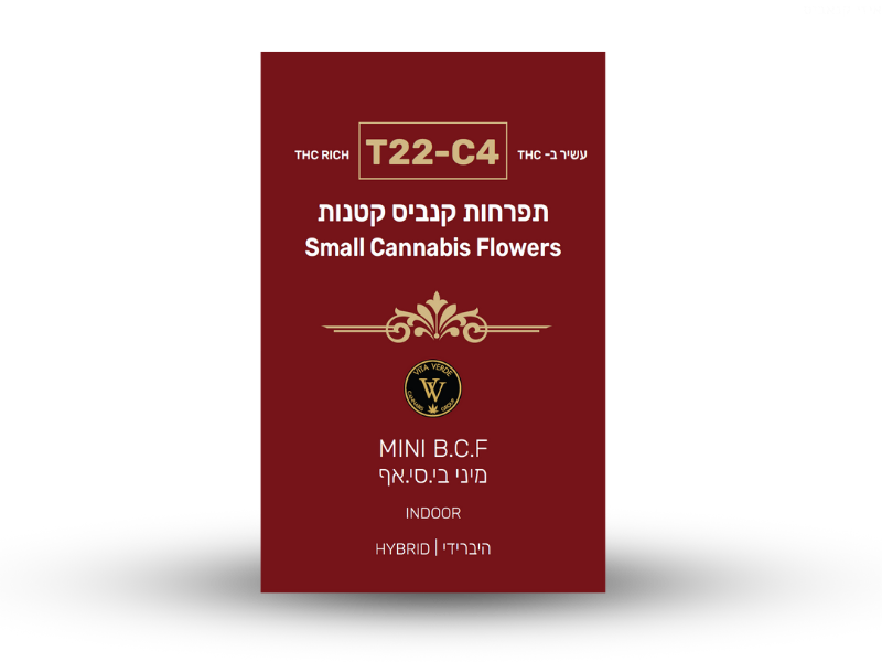 קנאביס רפואי תפרחת בי.אס.אף מיני  - T22/C4 - B.S.F Mini ויטה ורדה יום\לילה - היברידי