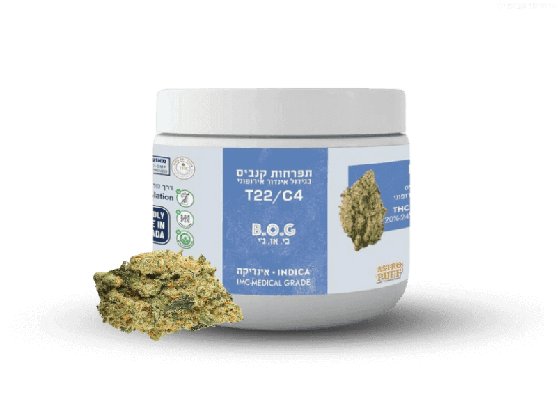 קנאביס רפואי תפרחת בי או ג'י  - T22/C4 - BOG ארטוס לילה - אינדיקה