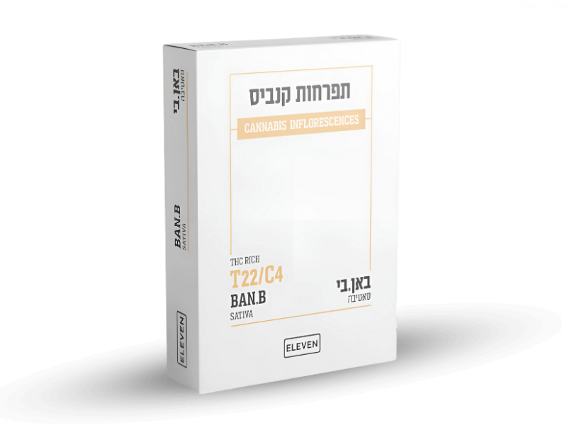 קנאביס רפואי תפרחת באן.בי - T22/C4 - Ban.B גרינמד יום - סאטיבה