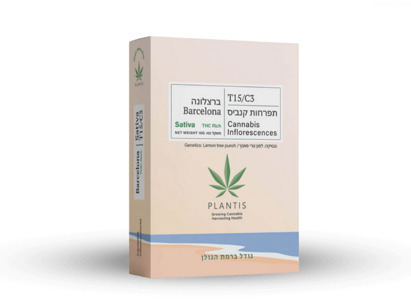 קנאביס רפואי תפרחת ברצלונה - T15/C3 - Barcelona פלאנטיס יום - סאטיבה