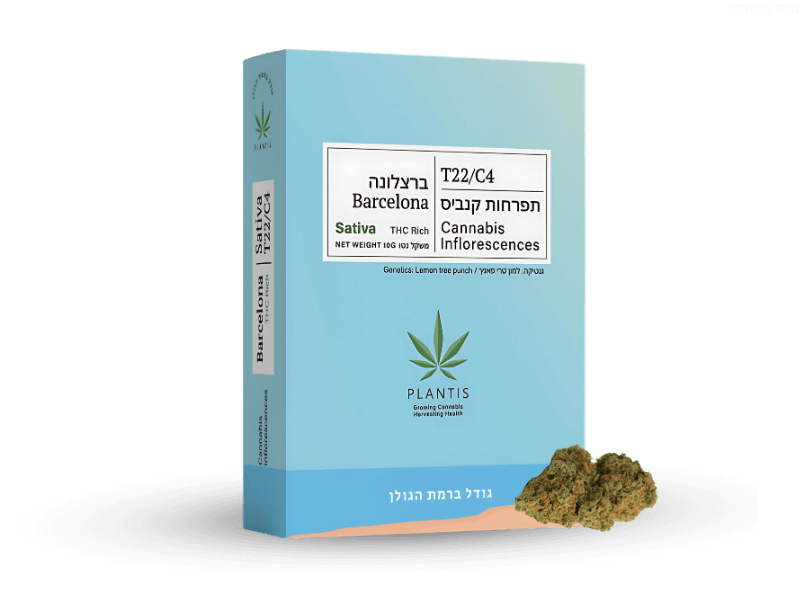 קנאביס רפואי תפרחת ברצלונה - T22/C4 - Barcelona פלאנטיס יום - סאטיבה