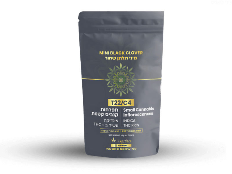 קנאביס רפואי תפרחת בלאק קלובר מיני - T22/C4 - Black Clover Mini טוגדר פארמה לילה - אינדיקה