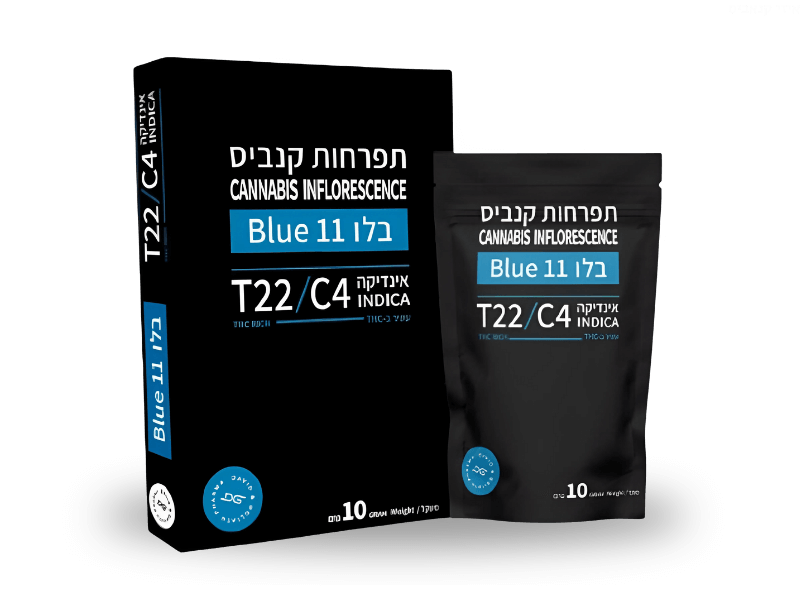 קנאביס רפואי תפרחת בלו 11 - T22/C4 - Blue 11 דוד וגוליית לילה - אינדיקה
