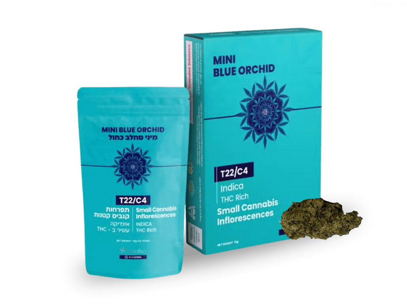 קנאביס רפואי תפרחת בלו אורכיד מיני  - T22/C4 - Blue Orchid Mini טוגדר פארמה לילה - אינדיקה
