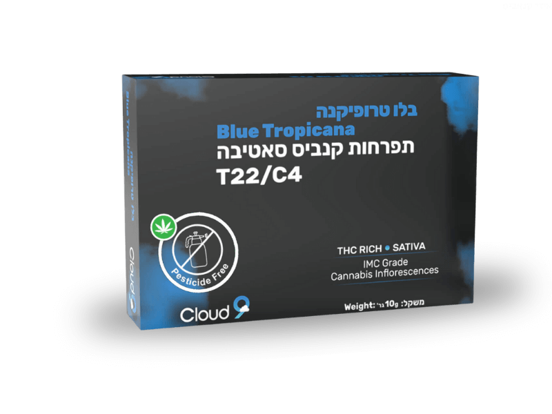 קנאביס רפואי תפרחת בלו טרופיקנה - T22/C4 - Blue Tropicana גרינקום יום - סאטיבה
