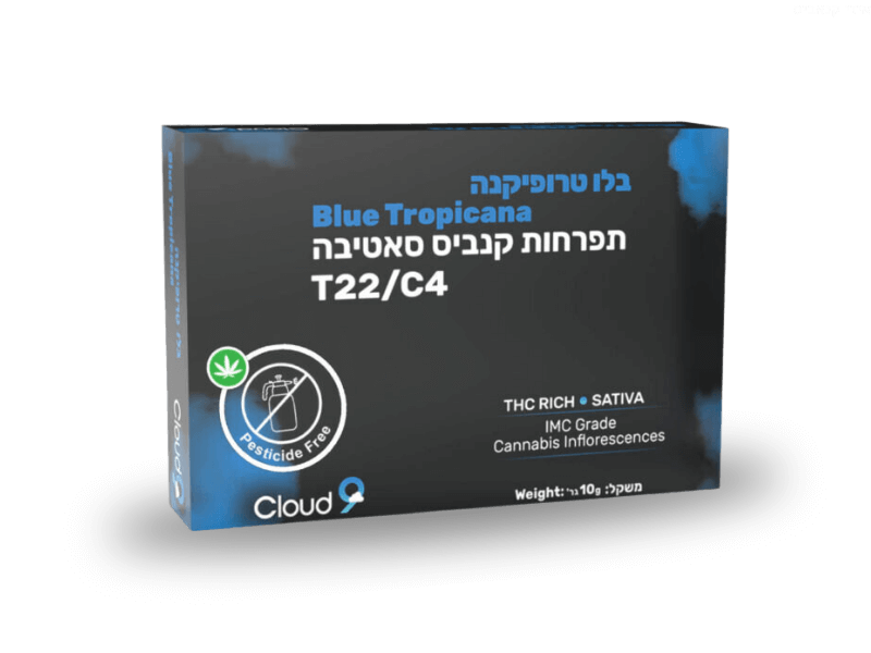 קנאביס רפואי תפרחת בלו טרופיקנה מיני - T22/C4 - Blue Tropicana Mini גרינקום יום - סאטיבה