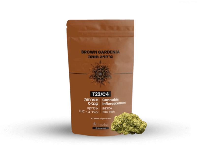 קנאביס רפואי תפרחת בראון גרדניה חומה - T22/C4 - Brown Gardenia טוגדר פארמה לילה - אינדיקה