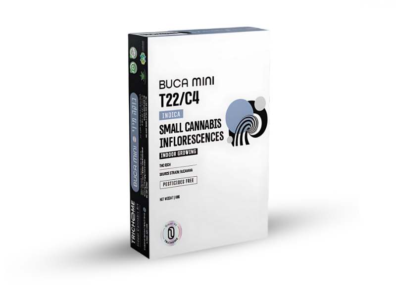 קנאביס רפואי תפרחת בוקה מיני - T22/C4 - Buca Mini טריכום לילה - אינדיקה