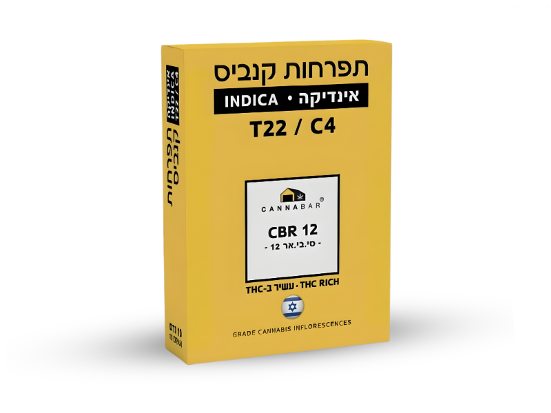 קנאביס רפואי תפרחת סי.בי.אר 12 - T22/C4 - CBR 12 קנאבר לילה - אינדיקה