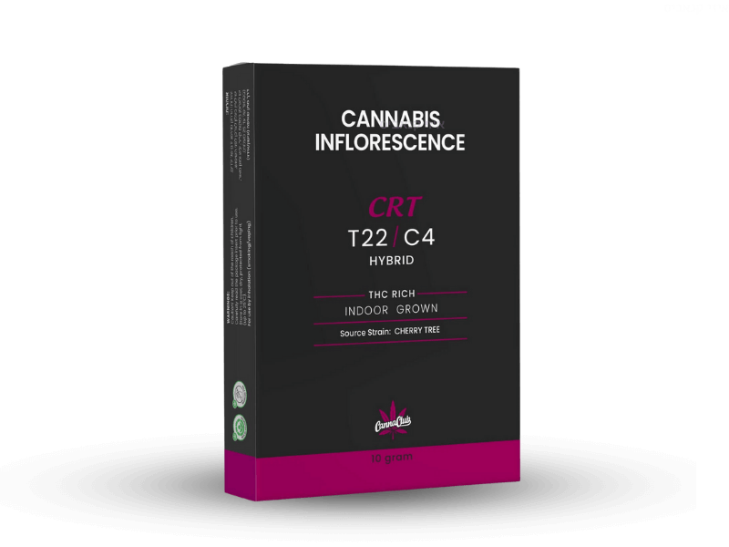 קנאביס רפואי תפרחת סי.אר.טי - T22/C4 - CRT מאסטרס אוף באדס יום\לילה - היברידי