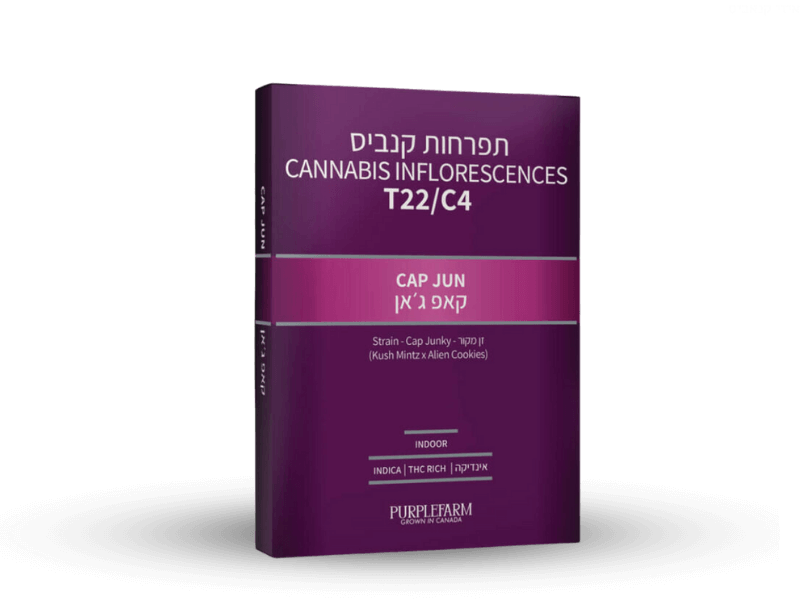 קנאביס רפואי תפרחת קאפ ג'אן - T22/C4 - Cap Jun קנדוק לילה - אינדיקה