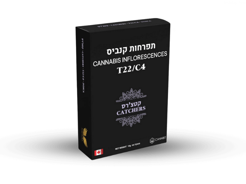 קנאביס רפואי תפרחת קטצ'רס - T22/C4 - Catchers תיקון עולם לילה - אינדיקה