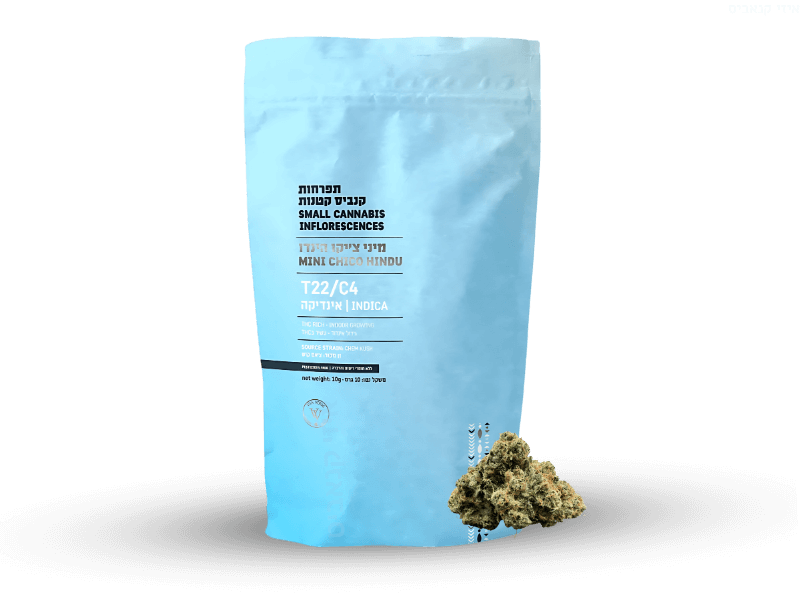 קנאביס רפואי תפרחת צ'יקו הינדו מיני - T22/C4 - Chico Hindu Mini ויטה ורדה לילה - אינדיקה