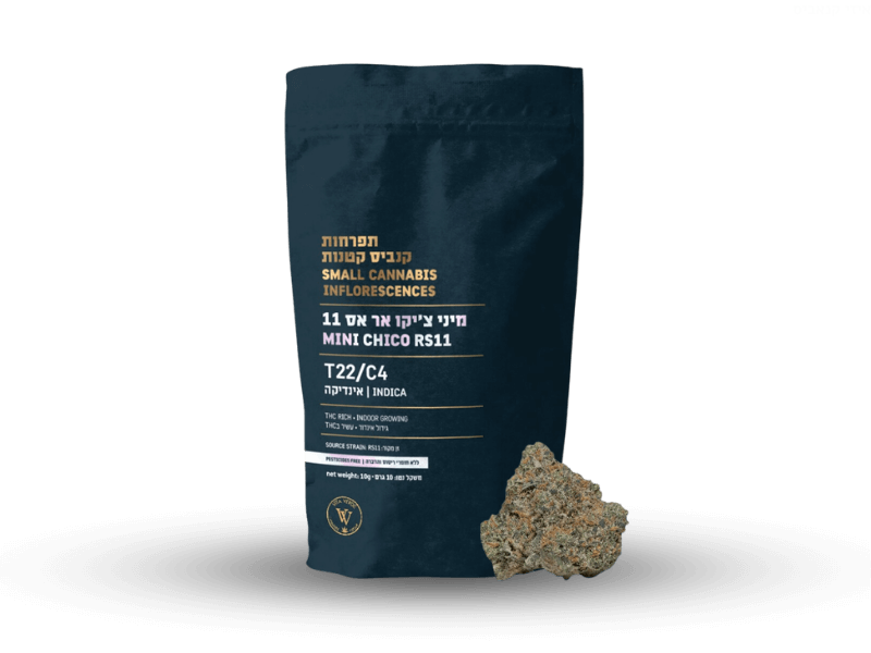 קנאביס רפואי תפרחת צ'יקו אר אס 11 מיני - T22/C4 - Chico RS11 Mini ויטה ורדה לילה - אינדיקה